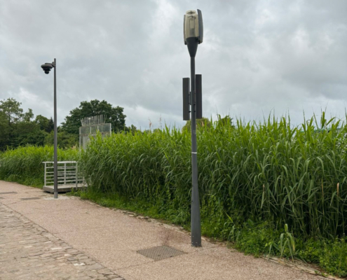 Sonorisation du Plan d'Eau - Quai des Régates | Metz
